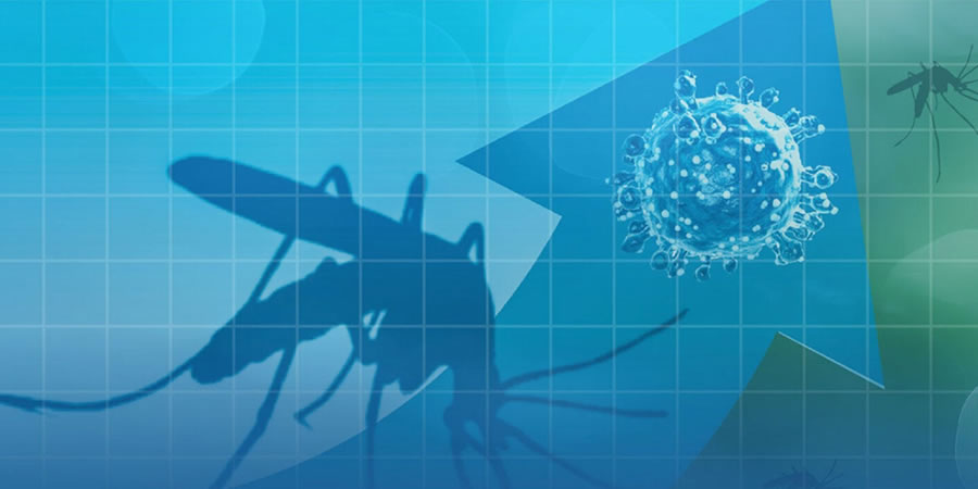 FIEBRE DE OROPOUCHE EN LAS AMÉRICAS FIEBRE DE OROPOUCHE EN LAS AMÉRICAS